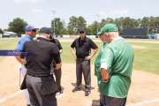 Baseball: WHHS State Champions Gm 3 (BR3_8129)