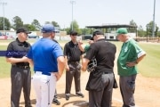 Baseball: WHHS State Champions Gm 3 (BR3_8132)