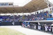 Baseball: WHHS State Champions Gm 3 (BR3_8139)
