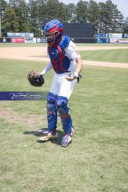 Baseball: WHHS State Champions Gm 3 (BR3_8149)