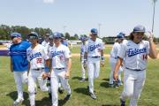 Baseball: WHHS State Champions Gm 3 (BR3_8245)