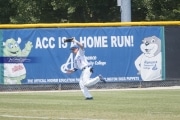Baseball: WHHS State Champions Gm 3 (BR3_8303)