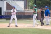 Baseball: WHHS State Champions Gm 3 (BR3_8364)