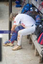 Baseball: WHHS State Champions Gm 3 (BR3_8479)
