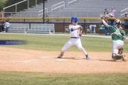 Baseball: WHHS State Champions Gm 3 (BR3_8635)