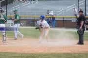 Baseball: WHHS State Champions Gm 3 (BR3_8688)