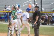 Baseball: WHHS State Champions Gm 3 (BR3_8698)