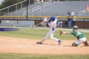 Baseball: WHHS State Champions Gm 3 (BR3_8855)