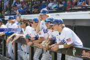 Baseball: WHHS State Champions Gm 3 (BR3_8866)