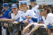 Baseball: WHHS State Champions Gm 3 (BR3_8871)