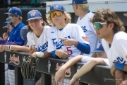 Baseball: WHHS State Champions Gm 3 (BR3_8876)