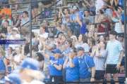 Baseball: WHHS State Champions Gm 3 (BR3_9059)