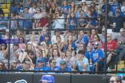 Baseball: WHHS State Champions Gm 3 (BR3_9083)