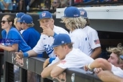 Baseball: WHHS State Champions Gm 3 (BR3_9096)