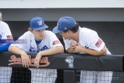 Baseball: WHHS State Champions Gm 3 (BR3_9191)