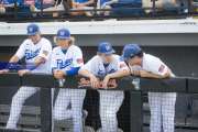 Baseball: WHHS State Champions Gm 3 (BR3_9194)