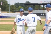 Baseball: WHHS State Champions Gm 3 (BR3_9231)
