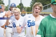 Baseball: WHHS State Champions Gm 3 (BR3_9533)
