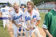 Baseball: WHHS State Champions Gm 3 (BR3_9572)