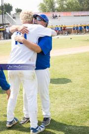 Baseball: WHHS State Champions Gm 3 (BR3_9618)