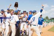 Baseball: WHHS State Champions Gm 3 (BR3_9962)