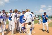 Baseball: WHHS State Champions Gm 3 (BR3_9971)