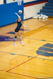 Volleyball Scrimmage (BR3_6584)