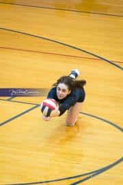 Volleyball Scrimmage (BR3_6610)