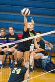 Volleyball Scrimmage (BR3_6743)