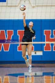 Volleyball Scrimmage (BR3_6839)