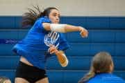 Volleyball Scrimmage (BR3_6917)