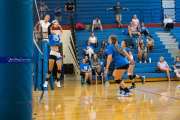Volleyball Scrimmage (BR3_7268)