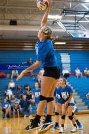 Volleyball Scrimmage (BR3_7286)