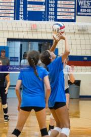 Volleyball Scrimmage (BR3_7632)
