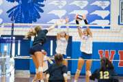 Volleyball Scrimmage (BR3_8057)