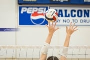 Volleyball Scrimmage (BR3_8122)