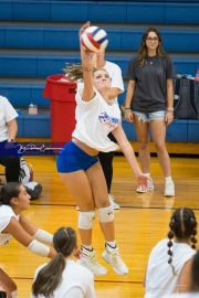 Volleyball Scrimmage (BR3_8407)