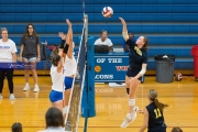 Volleyball Scrimmage (BR3_8424)