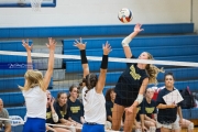 Volleyball Scrimmage (BR3_8501)