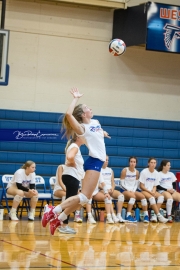 Volleyball Scrimmage (BR3_8575)