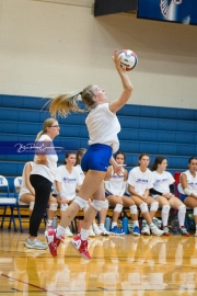 Volleyball Scrimmage (BR3_8580)