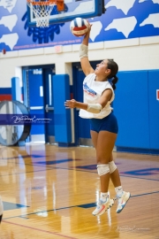Volleyball Scrimmage (BR3_8682)