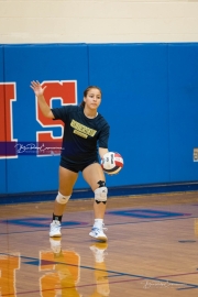 Volleyball Scrimmage (BR3_8760)