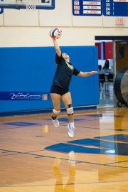 Volleyball Scrimmage (BR3_8767)
