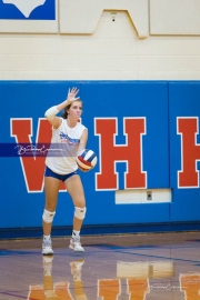 Volleyball Scrimmage (BR3_9002)
