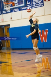 Volleyball Scrimmage (BR3_9084)