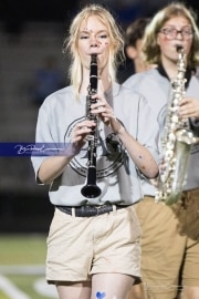 Band Halftime Performance (BR3_0786)