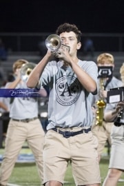 Band Halftime Performance (BR3_0814)