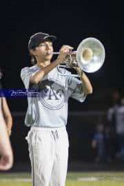 Band Halftime Performance (BR3_1041)