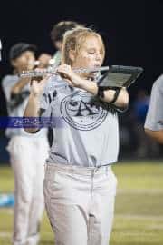 Band Halftime Performance (BR3_1074)